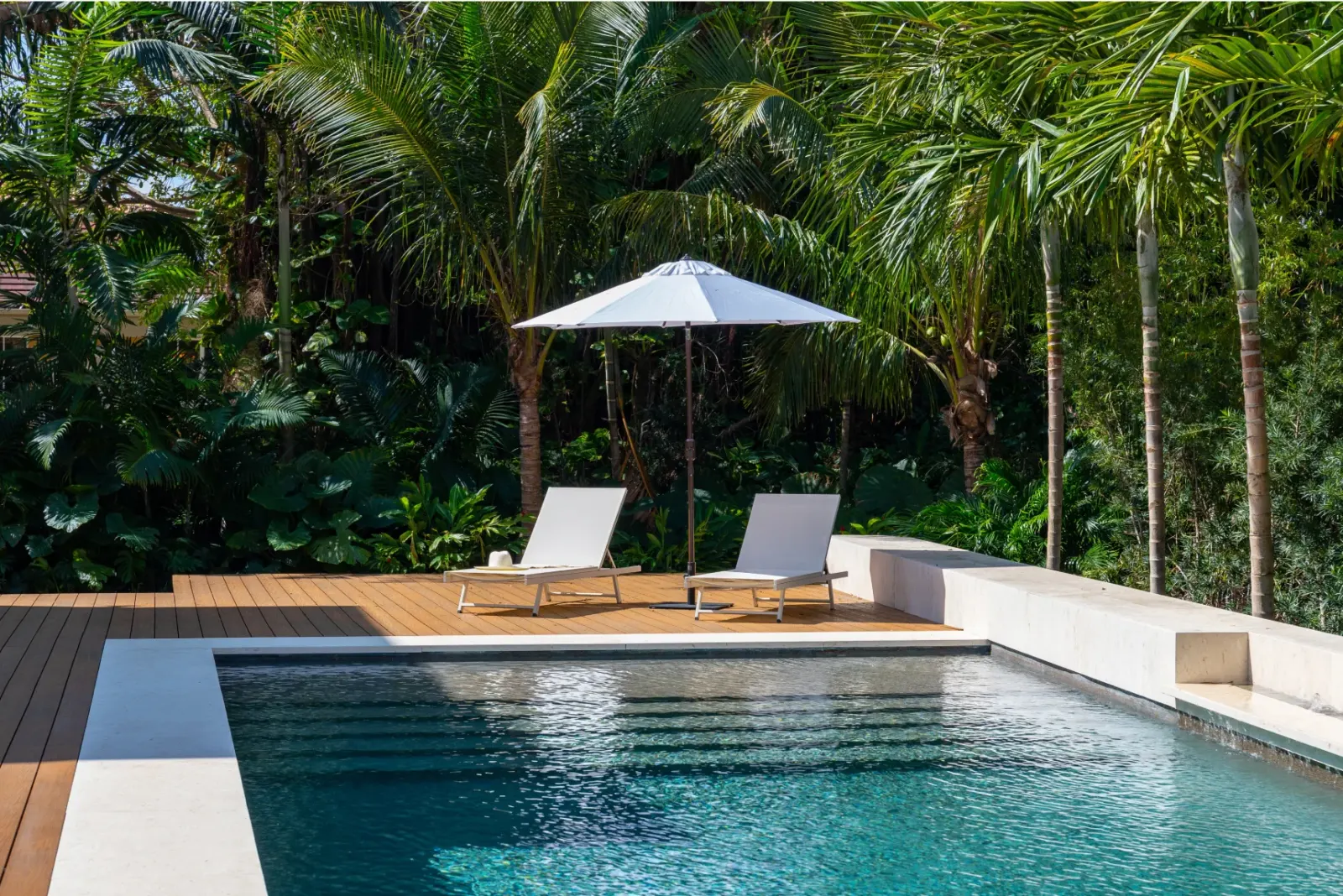 Tropical backyard pool area with palm trees and a wooden deck.